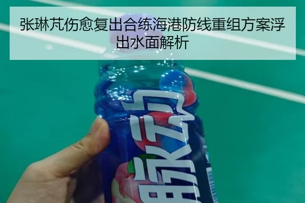 张琳芃伤愈复出合练海港防线重组方案浮出水面解析